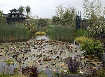 ireland/limerick/attraction/coolwater-garden