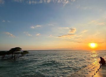indonesia/gili-islands/attraction/that-sunset-tree