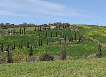 italy/val-d-orcia/attraction/cypress-road