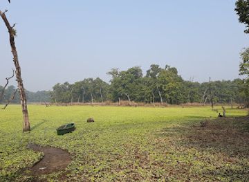nepal/chitwan/attraction/view-tower