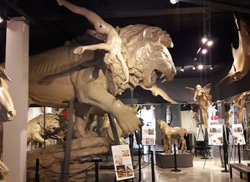 florida/st-petersburg-beach/attraction/st-petersburg-sculpture-experience