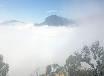 india/munnar/attraction/moonnar