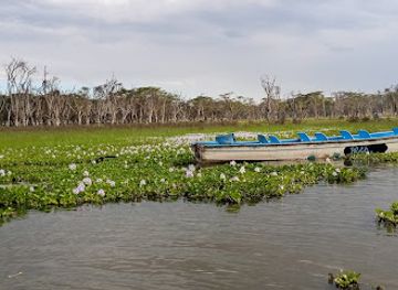 kenya/lake-naivasha/attraction/camp-acacia-naivasha