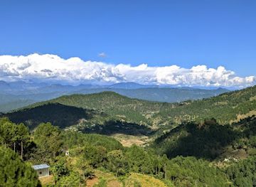 india/himalayas/attraction/kausani-tea-estate