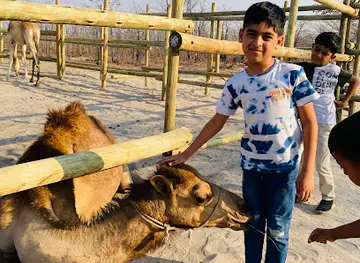 OKAVANGO CAMEL RIDES