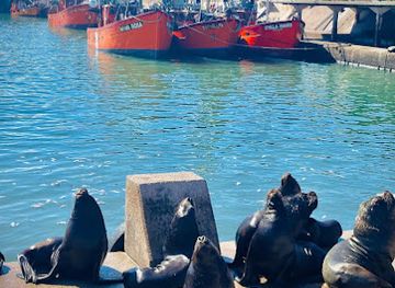 argentina/mar-del-plata/attraction/puerto-mar-del-plata