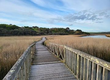australia/the-twelve-apostles/attraction/princetown-wetlands-boardwalk