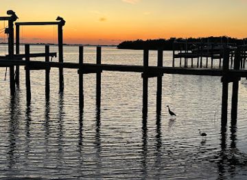 florida/sarasota/attraction/the-bay