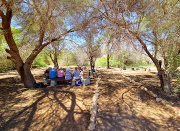 jordan/aqaba/attraction/aqaba-bird-observatory
