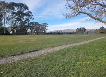 new-zealand/blenheim/attraction/sheps-park