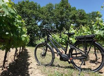 france/aix-en-provence/attraction/sun-e-bike