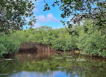 belize/mountain-pine-ridge/attraction/chukka-eco-adventure-park-at-almond-hill-lagoon