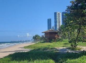 brazil/recife/attraction/praia-do-pina