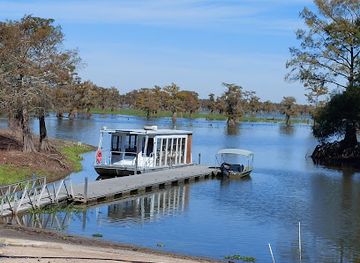 Atchafalaya Basin Landing Airboat Swamp Tours