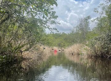 florida/fakahatchee-strand-preserve-state-park/attraction/everglades-adventure-tours