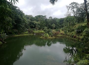 costa-rica/arenal-volcano-area/attraction/el-salto-rope-swing