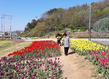 south-korea/mokpo/attraction/samhakdo-park