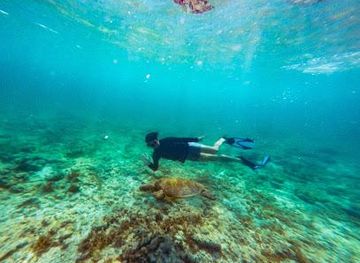 philippines/cebu-city/attraction/cebu