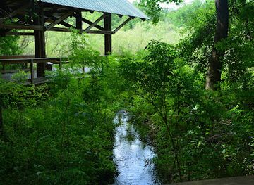 florida/gainesville-area/attraction/bivens-arm-nature-park