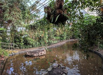 united-kingdom/cardiff/attraction/roath-park-conservatory