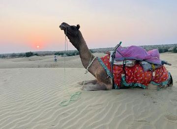 india/jaisalmer/attraction/desert-safari-jaisalmer