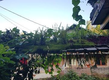 vietnam/sapa/attraction/ta-phin