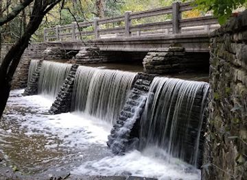 illinois/palatine/attraction/deer-grove-forest-preserve