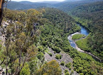 australia/gippsland/attraction/mitchell-river-national-park