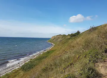 Tryggelev Nor bird sanctuary