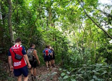 tanzania/usambara-mountains/attraction/west-usambara-mountains-the-sanctuary-lushoto-tanzania