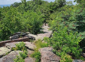 pennsylvania/juniata-river-valley/attraction/stone-mountain-hawk-watch-platform