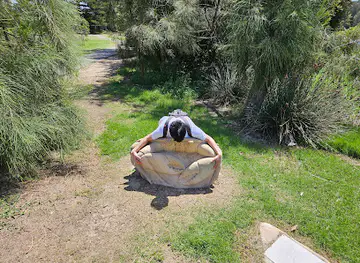 Crab Rock