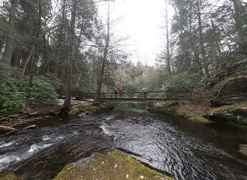 pennsylvania/lehigh-valley/attraction/wild-creek-falls
