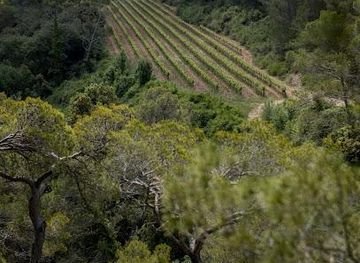 spain/tarragona/attraction/pares-balta-winery