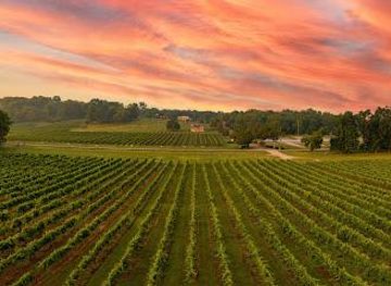 tennessee/nashville/attraction/arrington-vineyards