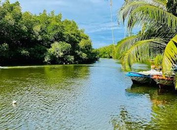 sri-lanka/unawatuna/attraction/madu-river-safari-by-buddhi