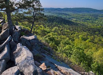 arkansas/pinnacle-mountain-state-park/attraction/rattlesnake-ridge-natural-area