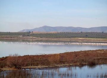 spain/andalusia/attraction/fuente-de-piedra-lagoon