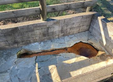 new-zealand/northland/attraction/natural-fizzy-spring