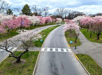 new-jersey/central-jersey/attraction/branch-brook-park