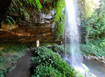 australia/mid-north-coast/attraction/dorrigo-national-park