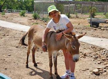 antigua-and-barbuda/st-john-s/attraction/antigua-s-donkey-sanctuary-humane-society