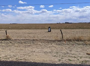 texas/amarillo/attraction/pippy-the-penguin