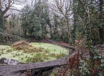 united-kingdom/birmingham/attraction/moseley-bog