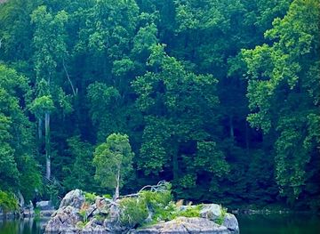 maryland/billy-goat-trail/attraction/one-tree-stands