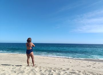 mexico/baja-california-peninsula/attraction/east-cape-beach