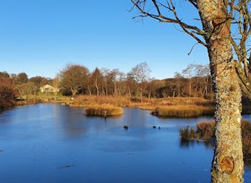 united-kingdom/dumfriesshire/attraction/moffat-community-nature-reserve