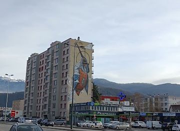 france/rhone-alpes/attraction/key-bird