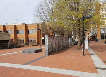 virginia/charlottesville/attraction/freedom-of-speech-wall