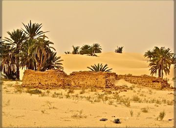 tunisia/chott-el-jerid/attraction/elghout